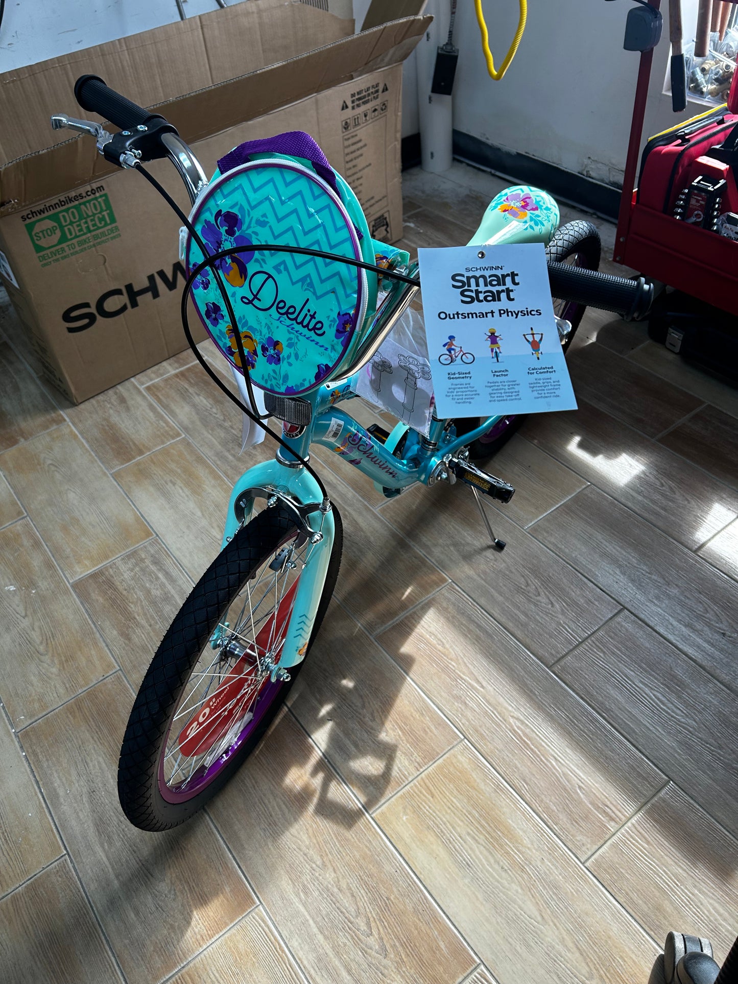 Schwinn Deelite 20" Kids' Bike - Mint Green