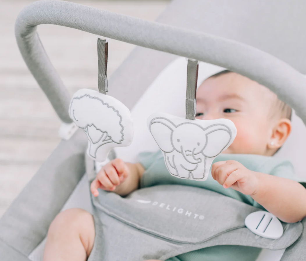 Baby Delight Highland Portable Baby Bouncer, Pebble Gray